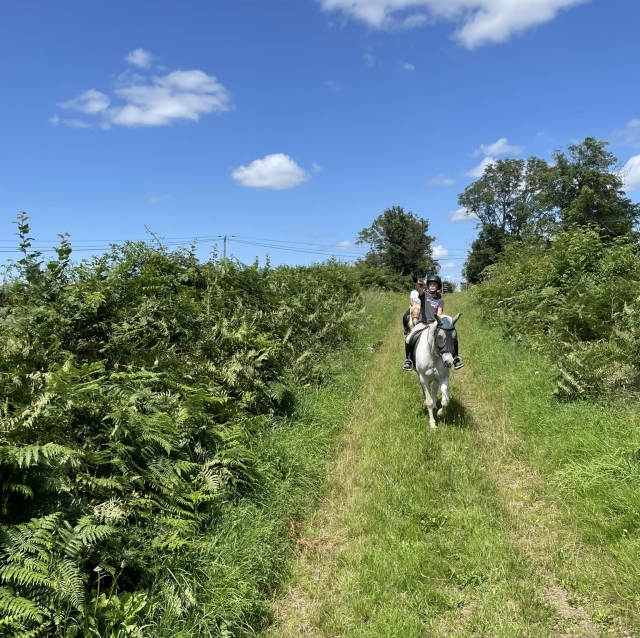  Pbaños a caballo en el corazón del bocage Charolais 