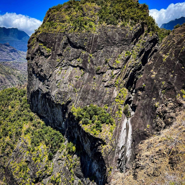  La flor amarilla del cañón desde el exterior 