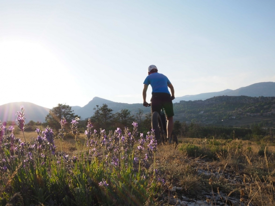 Circula de una manera 100 % ecológica Circula de una manera 100 % ecológica