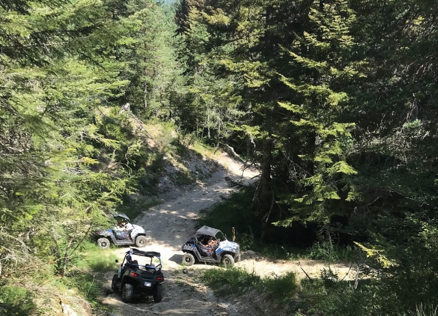 4x4 vehículos para circular en todas partes