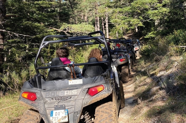cruzan el bosque en buggy