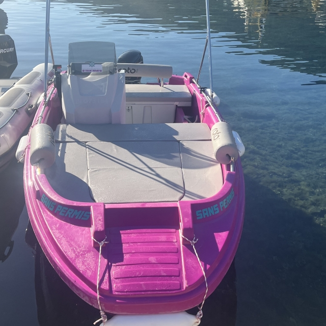 p-90649-e-19866314-pink-port1749303812174930401927001750861421_17508615131660.jpg