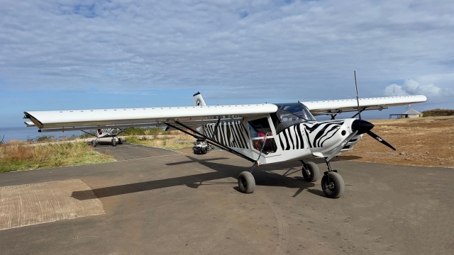 Una cebra avión lista para despegar 