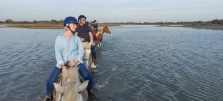 Pbaños a caballo en la Camarga - 1 hora