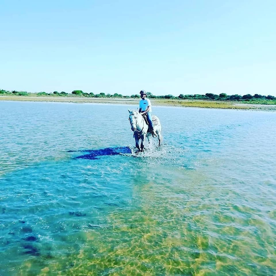 Venga y disfruta de un tiempo maravilloso rodeado de naturaleza con su familia Venga y disfruta de un tiempo maravilloso rodeado de naturaleza con su familia