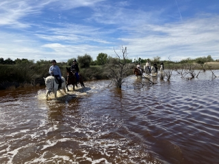 Paseo a caballo en la Camarga + aperitivo - 2h