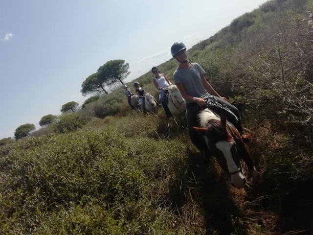  Paseo entre pinares y masas de agua 