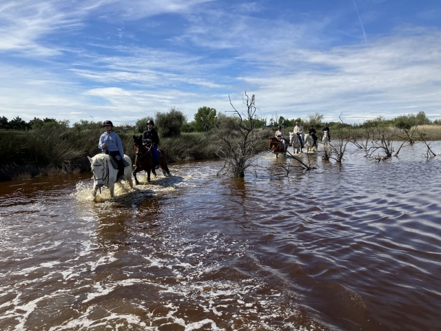  Paseo a caballo en Saintes-Maries-de-la-Mer 