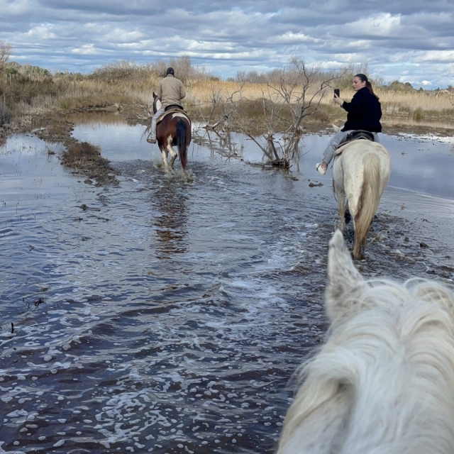 Disfrute de un paseo a caballo exclusivo en la Camarga 