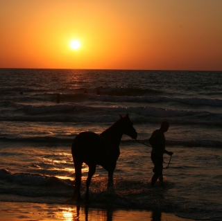 Paseo a caballo Crepúsculo + aperitivo -Camargue-1 hora