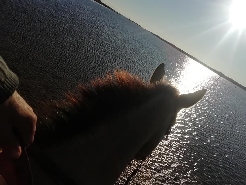 Un paseo a caballo único en Saintes-Maries-de-la-Mer Un paseo a caballo único en Saintes-Maries-de-la-Mer