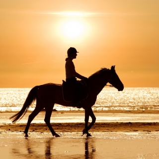 Cabalgamarra Crepúsculo+aperitivo - Camarga-2h