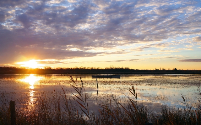  Reservación su paseo al atardecer hacia Saintes-Maries-de-la-Mer 