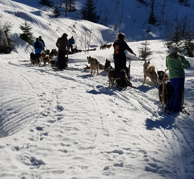  La nieve de los Alpes te espera