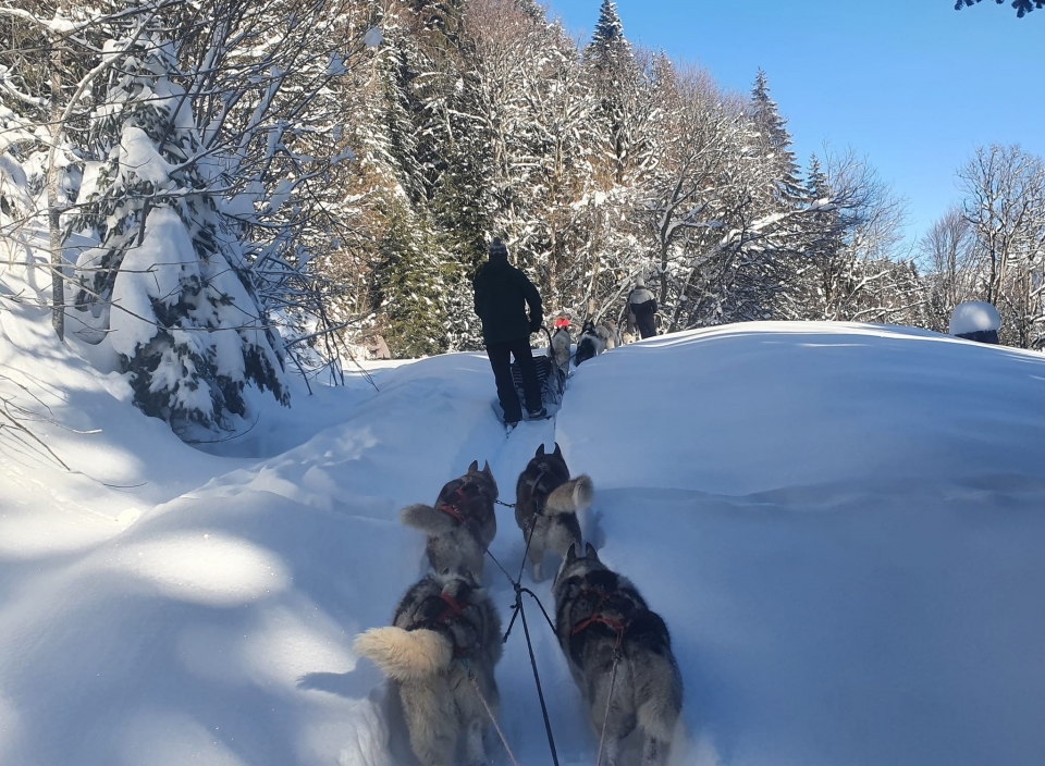 Recorre los senderos nevados del macizo del Roc d'Enfer Recorre los senderos nevados del macizo del Roc d'Enfer