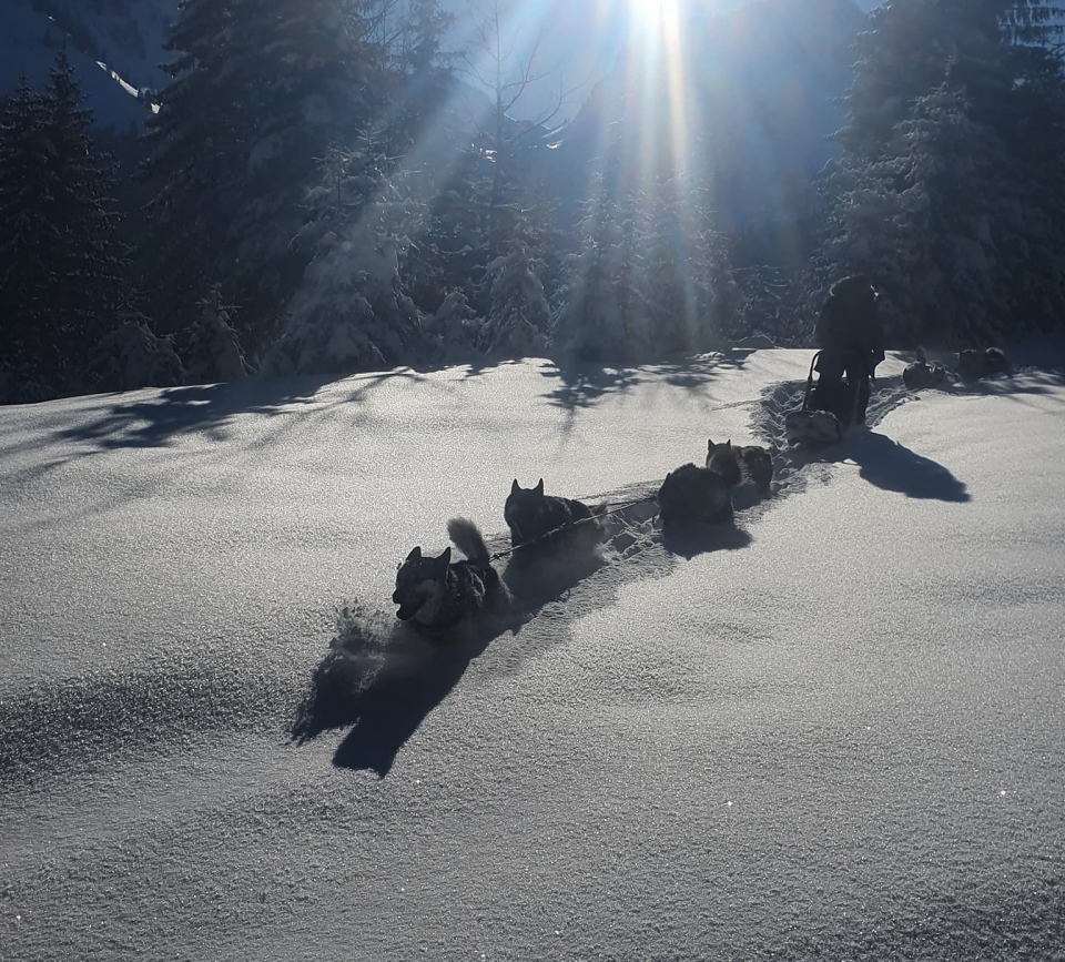 Disfruta de los paisajes alpinos Disfruta de los paisajes alpinos