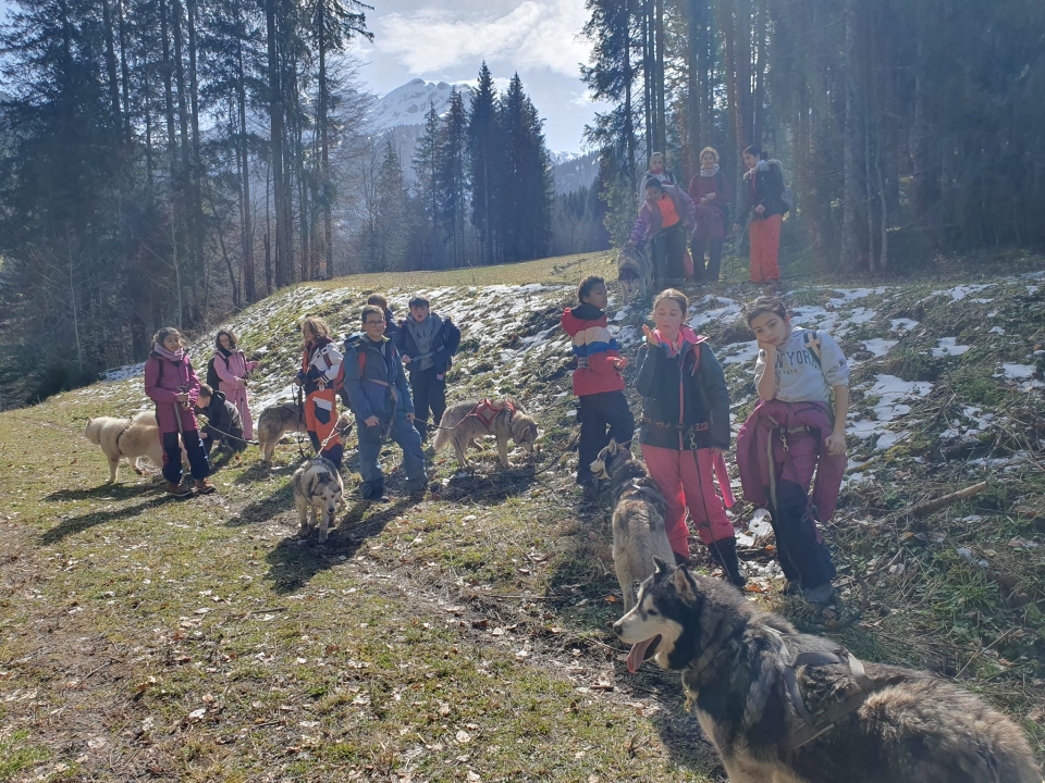 Disfruta de un momento único con perros Disfruta de un momento único con perros