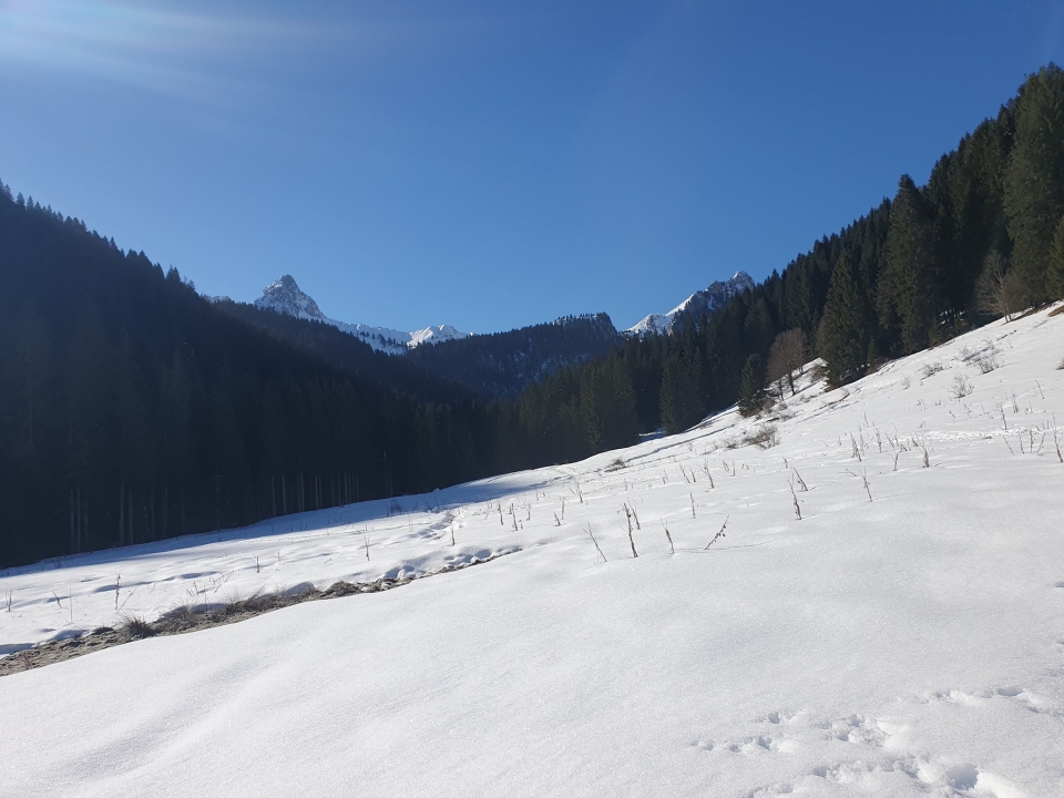 Los paisajes invernales de Bellevaux Los paisajes invernales de Bellevaux