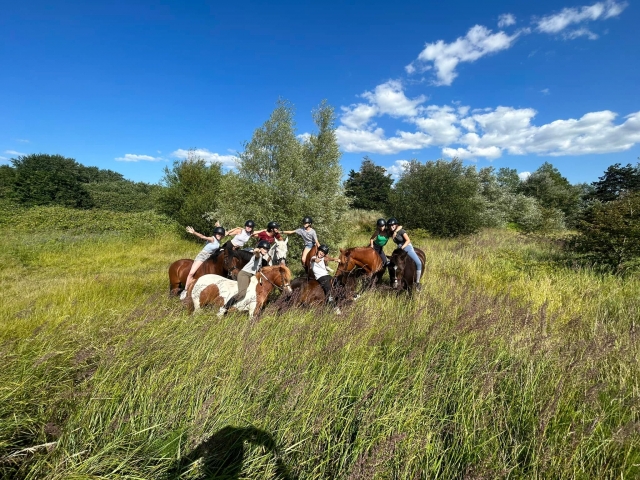  Un paseo a caballo por el campo normando 