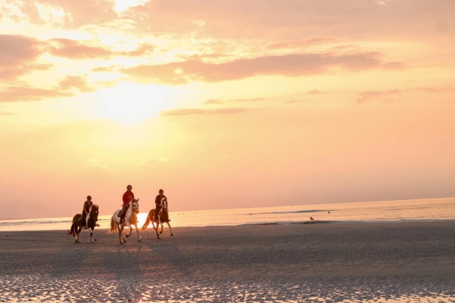 Un entorno único para una actividad única en Calvados 