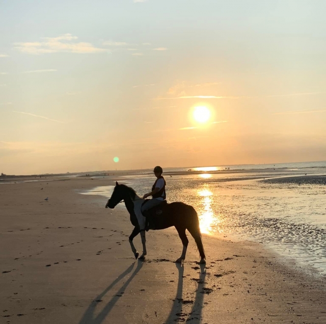  Pbaños a caballo por la playa en Cabourg 