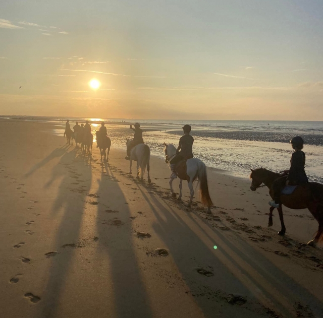  Reservación una excursión a caballo de una hora por la playa 