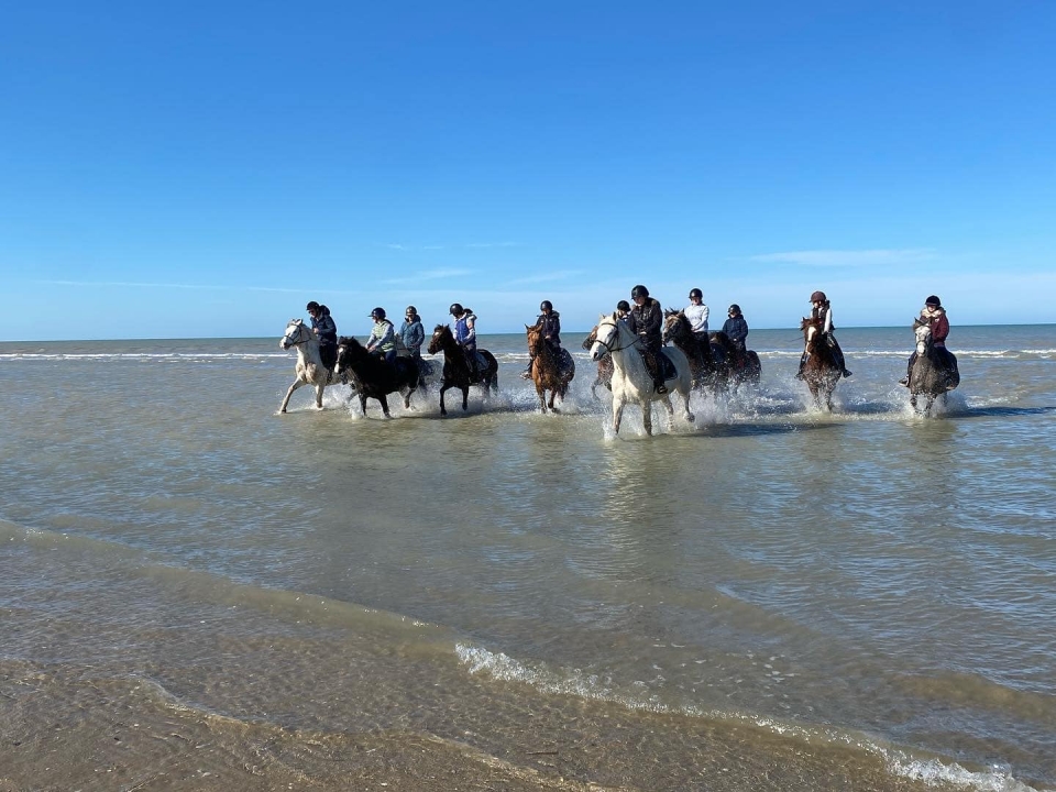 Conoce las olas del océano a caballo Conoce las olas del océano a caballo