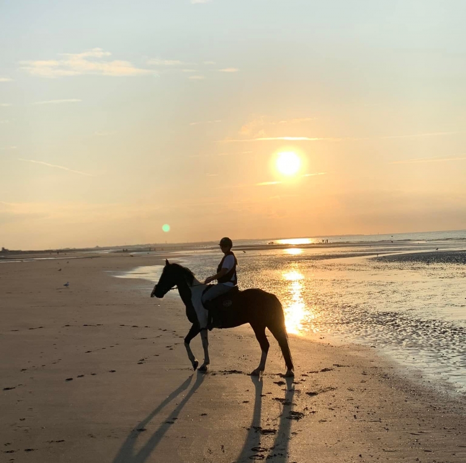 Pbaños a caballo por la playa en Cabourg Pbaños a caballo por la playa en Cabourg
