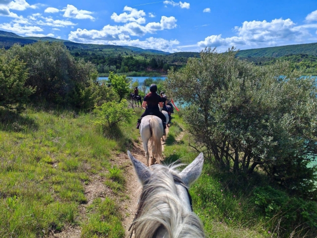  Entre bosque y lago, viva un momento mágico en familia 