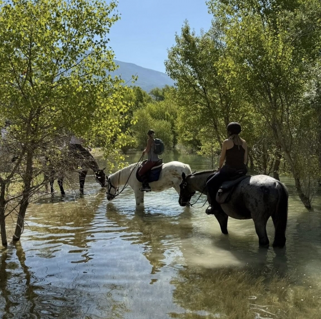  Conéctate con la naturaleza a lomos de un caballo en el Verdon 