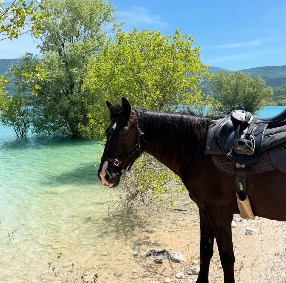 Pbaños a caballo a orillas de las hermosas aguas del lago Pbaños a caballo a orillas de las hermosas aguas del lago