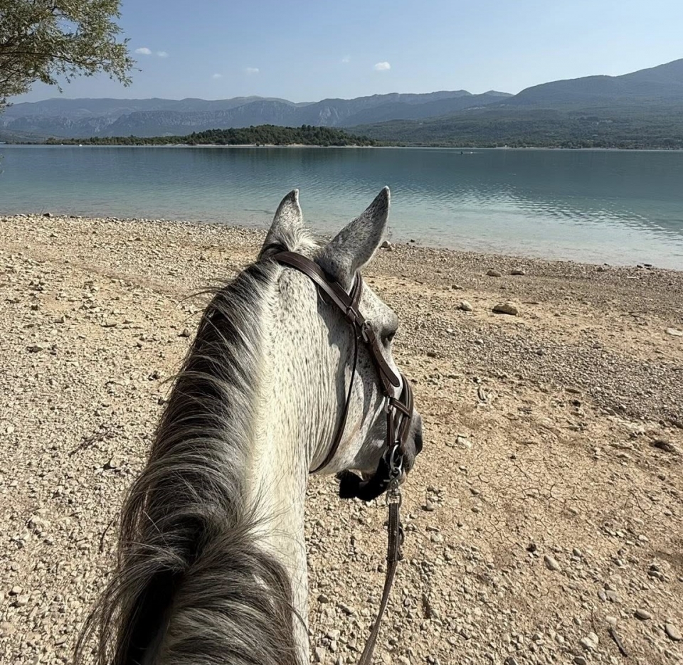 Un momento de evasión y conexión con el caballo y la naturaleza Un momento de evasión y conexión con el caballo y la naturaleza