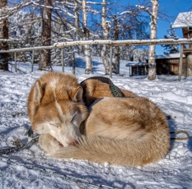  Reservación su bautismo en Alta Saboya 