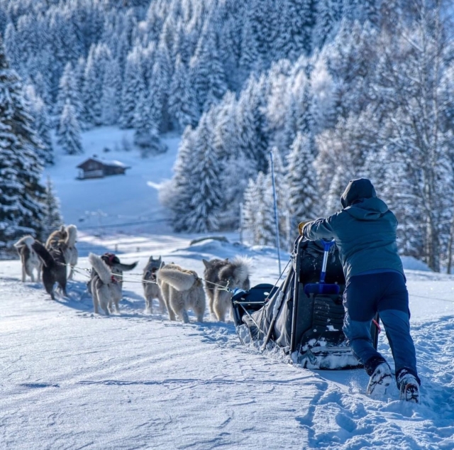  Un panorama excepcional para su bautismo de mushing en Alta Saboya 