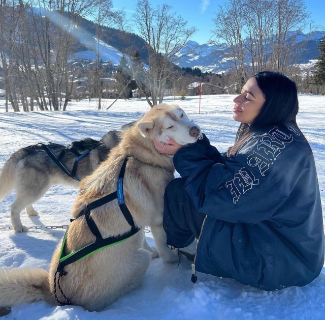  Pasa un maravilloso día en compañía de nuestros perros nórdicos