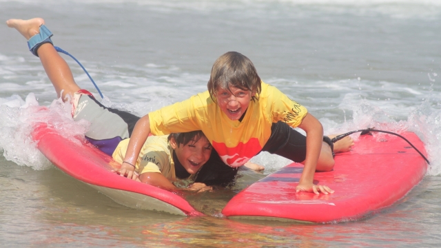  Diversión y aprendizaje en las Landas