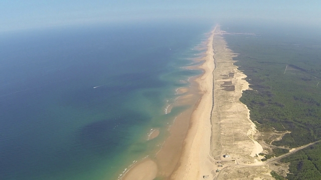  Venga y empieza a surfear en Seignosse 
