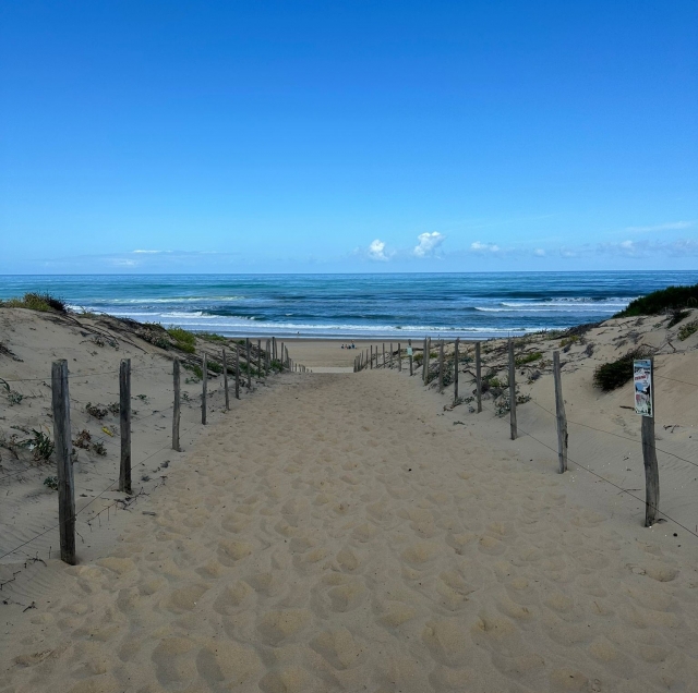 La playa del Penon te espera para una primera experiencia en el surf