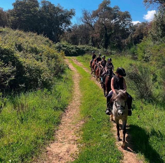  Vaya a San Giuliano para un paseo a caballo por la cerro 