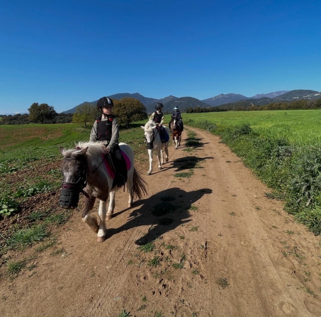  Perfecto para descubrir el mundo de la equitación