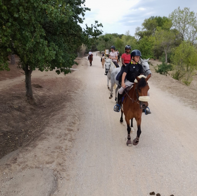  Pbaños a caballo entre bosques y viñedos