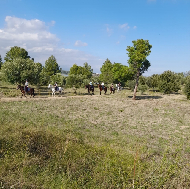 Disfrute de un paseo a caballo a pocos minutos de Perpignan 