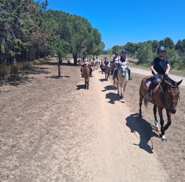  Pbaños a caballo en los Pirineos Orientales 