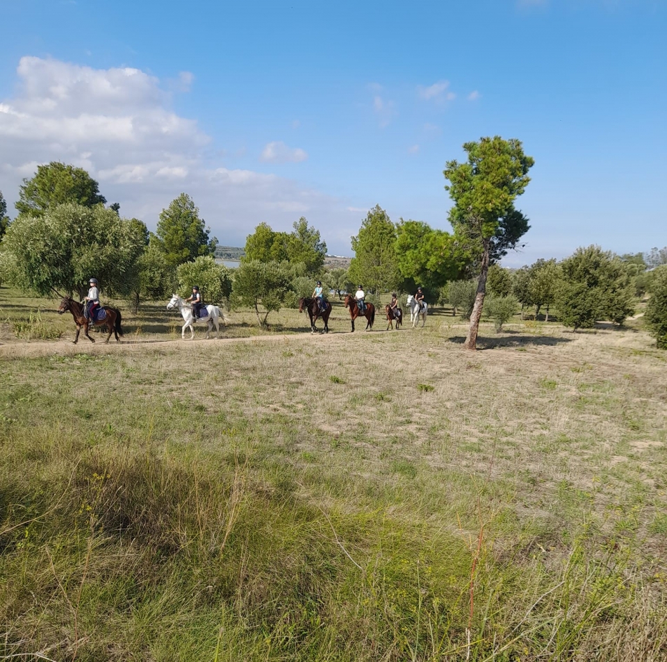 Disfrute de un paseo a caballo a pocos minutos de Perpignan 