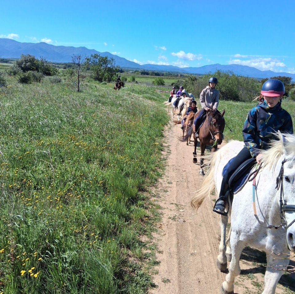  Un paseo guiado en un panorama verde 