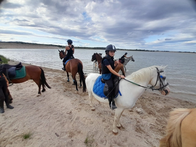  Un grupo en la playa del lago