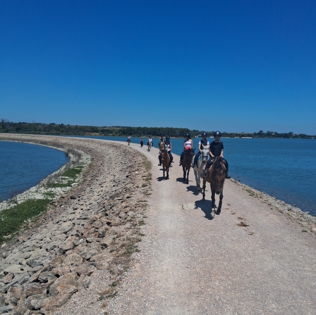  Encuéntranos cerca de Perpignan 