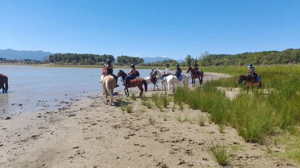  Descubre el lago Villeneuve-de-la-Raho durante un paseo a caballo 