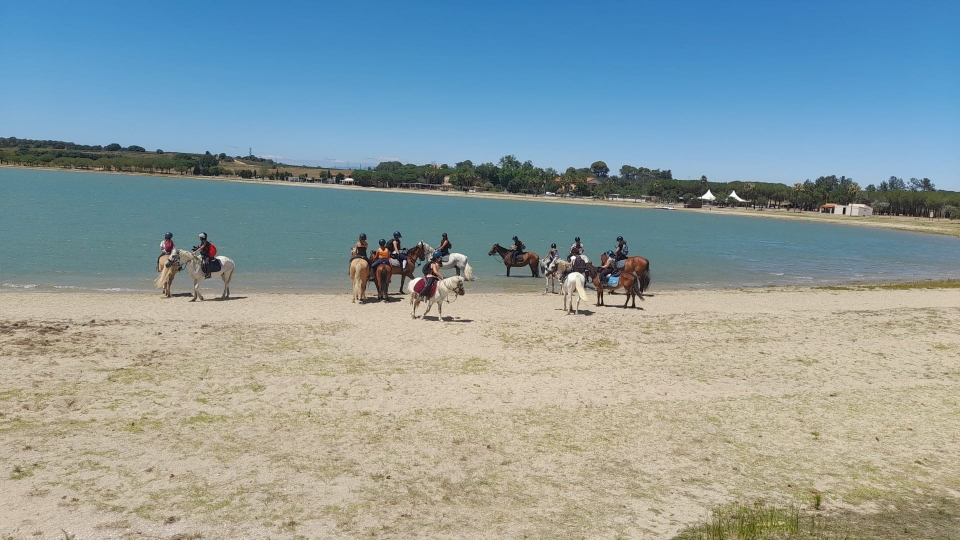  Haga un paseo a caballo en Villeneuve-de-la-Raho 
