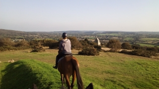 Pbaños a caballo en el Cotentin - Campo - 1h30